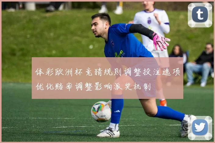 体彩欧洲杯竞猜规则调整投注选项优化赔率调整影响派奖机制