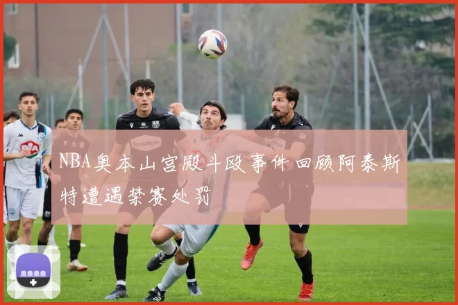 NBA奥本山宫殿斗殴事件回顾阿泰斯特遭遇禁赛处罚